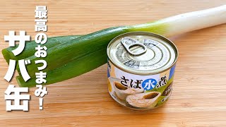【サバ缶とネギの簡単レシピ】パパッと炒めるだけ！最高のおつまみ。