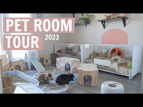 Inside my Pet Room: Where my hamsters & rabbits live!