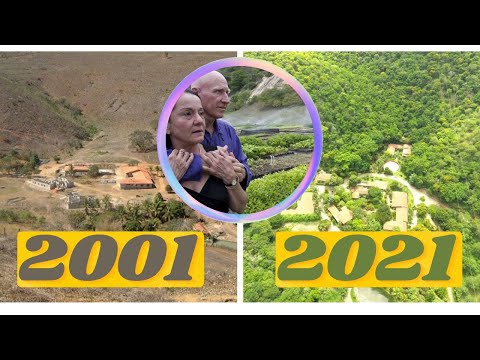 THIS COUPLE FROM BRAZIL PLANTED 2.7 MILLION TREES! AND HERE'S WHY