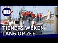 Geweerd zeilschip vol scholieren komt na wekenlange reis aan in Harlingen | NU.nl