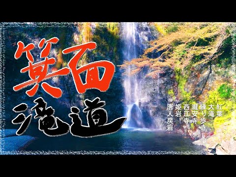 4K Cheio de íons negativos Minoh Falls Folhas de outono 3/11