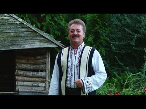 Mitică Tavă - Jos la hanul dintre râuri