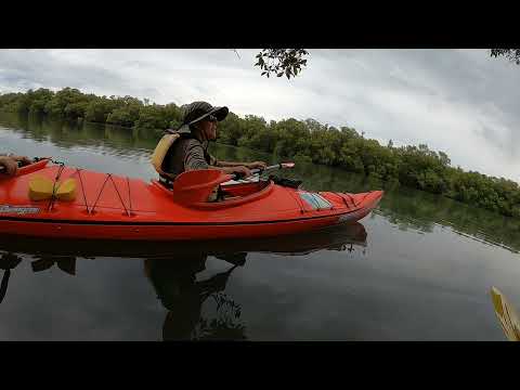 Yamba Kayak