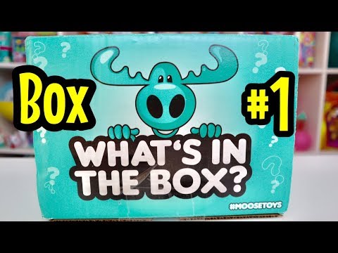 What's In The Box? from Moose Toys Box #1 Video