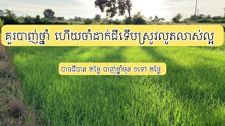 បាញ់ថ្នាំមុន ឬ បាញ់ជីមុន សាកមើលសិន ១ណាល្អ ជាង