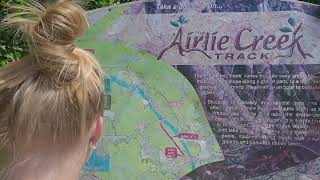 Cedar Creek falls & airlie creek track