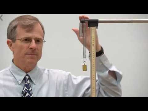 Oscillations Demo: Mass Spring System