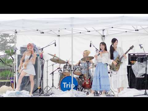 260526 QWER  '고민중독' 직캠 @Sound of Trip in JEJU 그랜드 조선 제주 버스킹