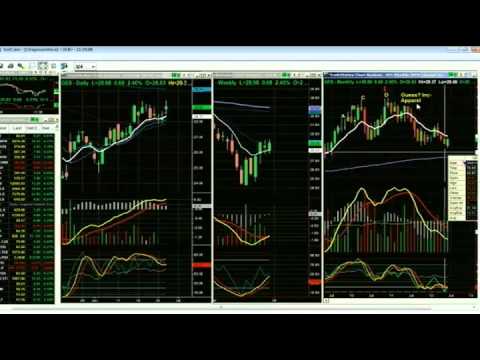 June 27th Tiger Technicians Hour with Basil Chapman