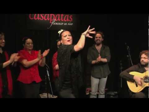 CASA PATAS, FLAMENCO EN VIVO 115 - HERMINIA BORJA