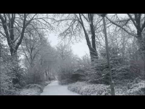 SNOW RAIN IN HOLLAND
