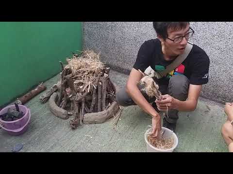 藝猶未盡－藝術攀越高牆  美感漫遊校園_封面照片
