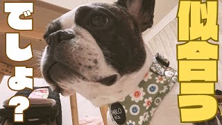 新調しました✨