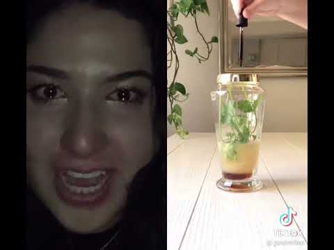 black cilantro margaritas ladies