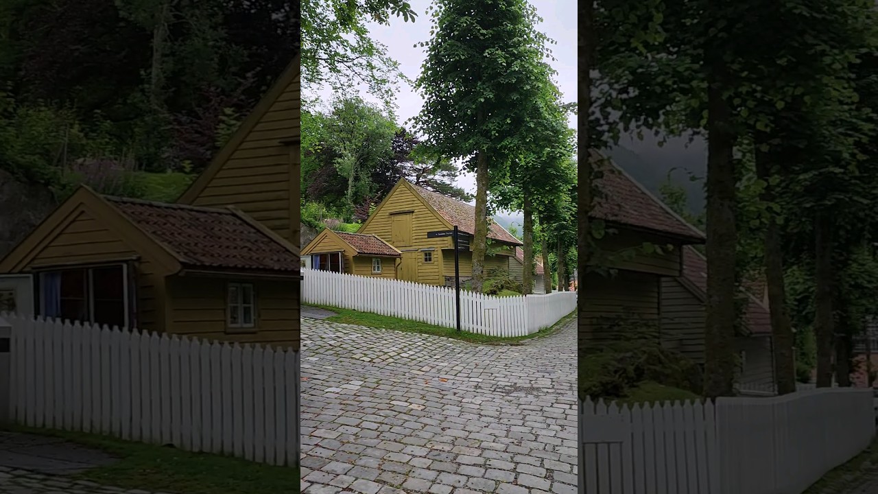 YouTube Short thumbnail