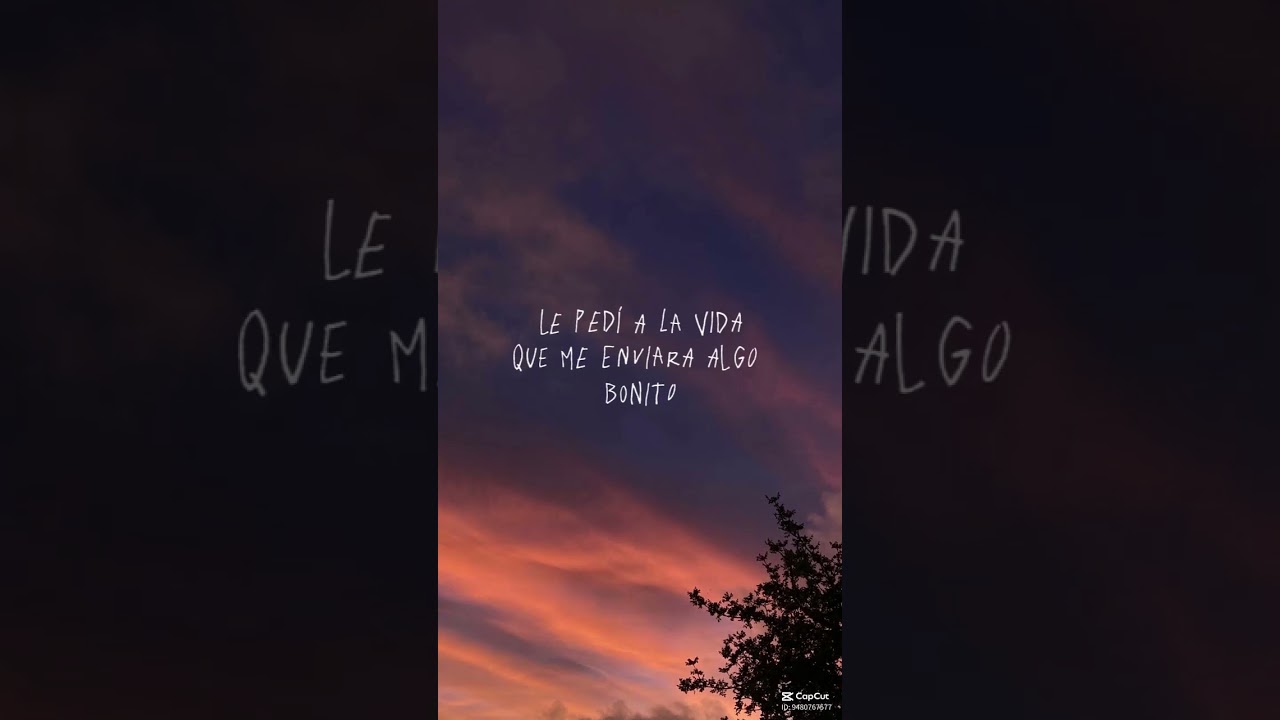 Yeimy Rocio Avila Pontón-19