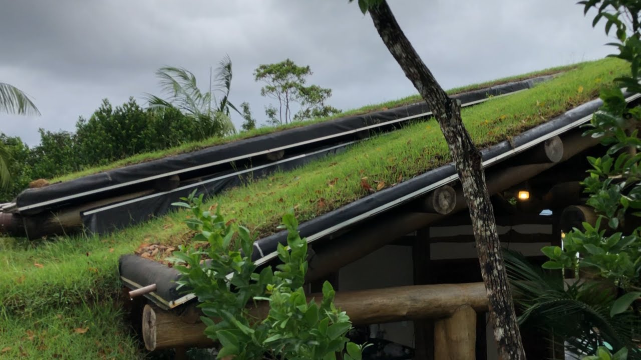 CASA COM TELHADO VERDE EM EUCALIPTO TRATADO. #carpintaria #telhadoverde #ecológico