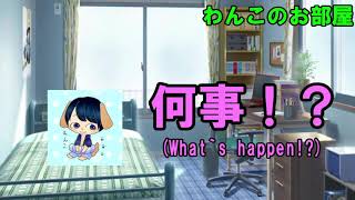 【帰ってきました！】近況報告とお詫び＆これからについて【わんこのお部屋】