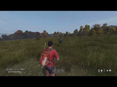 Friendly AI DayZ Standalone