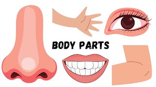 20 Body Parts Names - In English - Star Kids