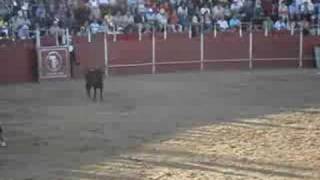 preview picture of video 'Paredes de Nava Fiestas 2008'