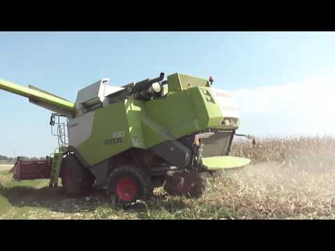 Campagna trebbiatura mais 2015 By Az.Agricola Fiorin Adriano