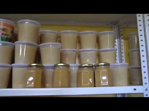 Promocional 2 Apicultura