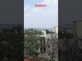 Karikala Bhaktha Annandana Satram Srisailam Shorts Ytshorts Reels Trendingvid Viral Reelsvideo