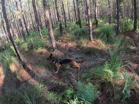 Erma GAK9 Field Specialist Track 27 05 2024