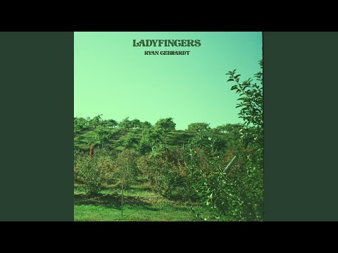 Ladyfingers