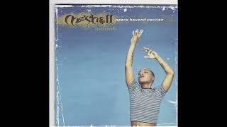 🎧 Meshell Ndegeocello - Deuteronomy: Niggerman