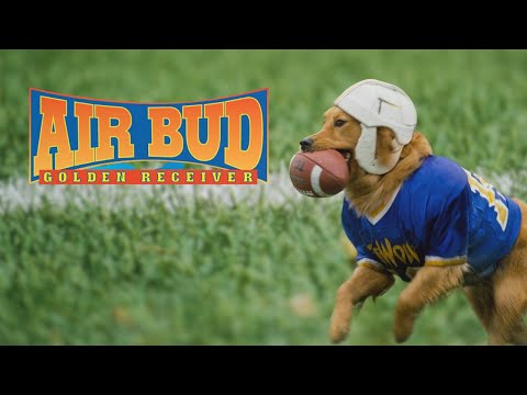 AIR BUD: GOLDEN RECEIVER - Official Movie