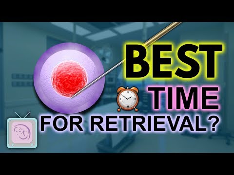 IVF - When is the egg retrieval?