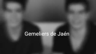 Per incontrarti ancora - Gemeliers