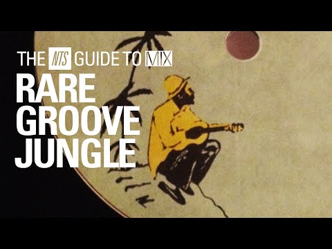 Rare Groove Inspired Jungle Mix【 THE NTS GUIDE TO… 】