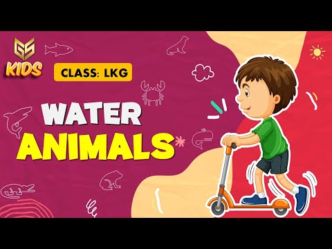 Water Animal - LKG - EVS - Gyansrota Kids