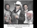 Zydeco Twisters-Bad Luck And Trouble