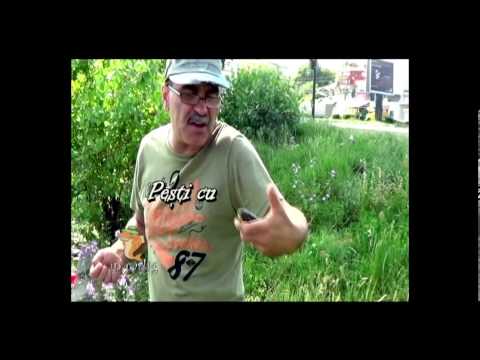 Pești cu buletin de București   Emisiunea din 16 Iunie 2013