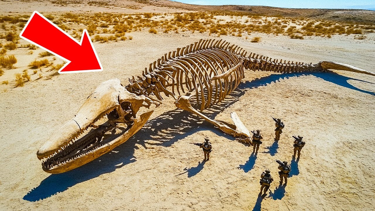 La plus grande créature marine jamais trouvée à des kilomètres de l'océan