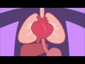 Bubble Guppies HEART