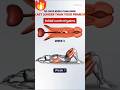 30 Days Kegel Exercise For Better Performance Kegel Kegelexercises Viral Shorts