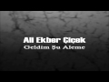 Ali Ekber Çiçek & Gönül Gel Varalım  [© Şah Plak] Official Audio