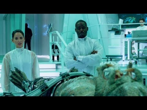 Исследование хищника в лаборатории / Хищник (2018)