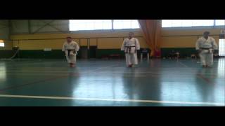 preview picture of video 'Exhibicion de karate en Moncada (26 mayo 2012)'