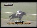 Alydeed Marine Stakes & Plate Trial Stakes 1992