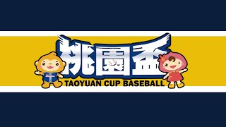 [分享] 桃園盃全國四級棒球錦標賽 大專組決賽