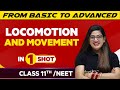 Locomotion And Movement In One Shot JEE NEET Class 11th Boards Victory Batch