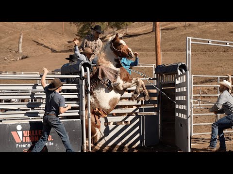 Day 2 Bronc School Feat Donnie Daytona