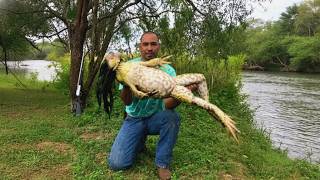 El Granjero que Caminó por la Selva y Halló un Animal Extinto Hace Siglos