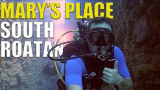 Scuba Diving Mary's Place On SOUTH SIDE Roatan - Ep 108